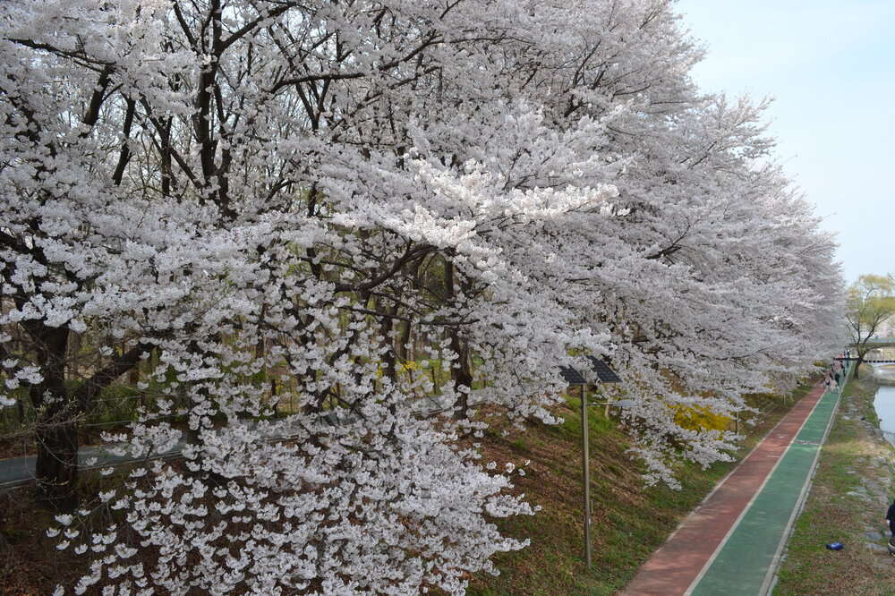 DSC_0316.JPG