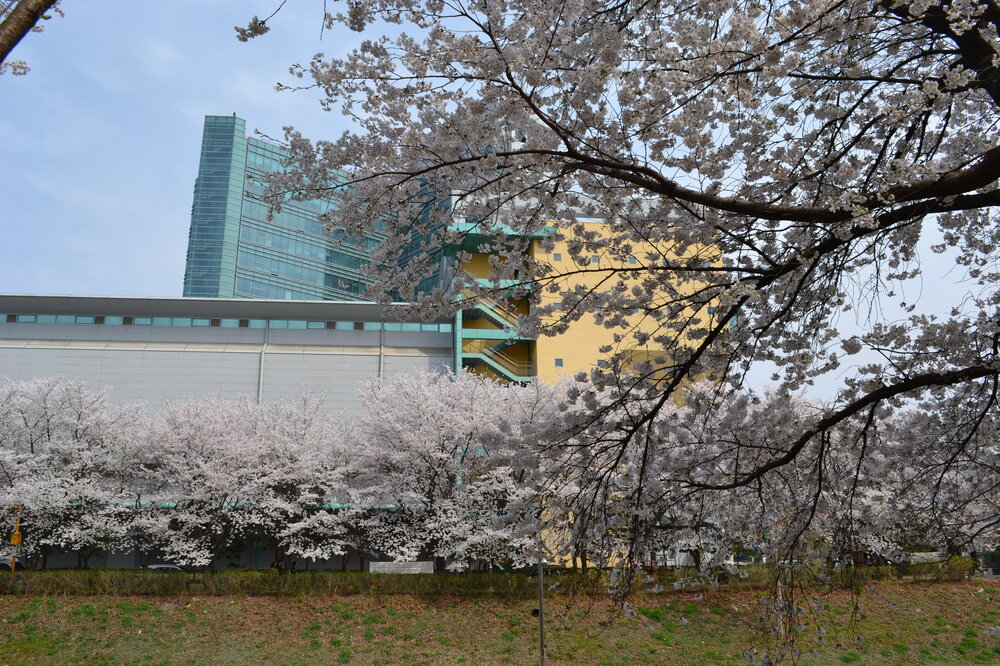 DSC_0321.JPG