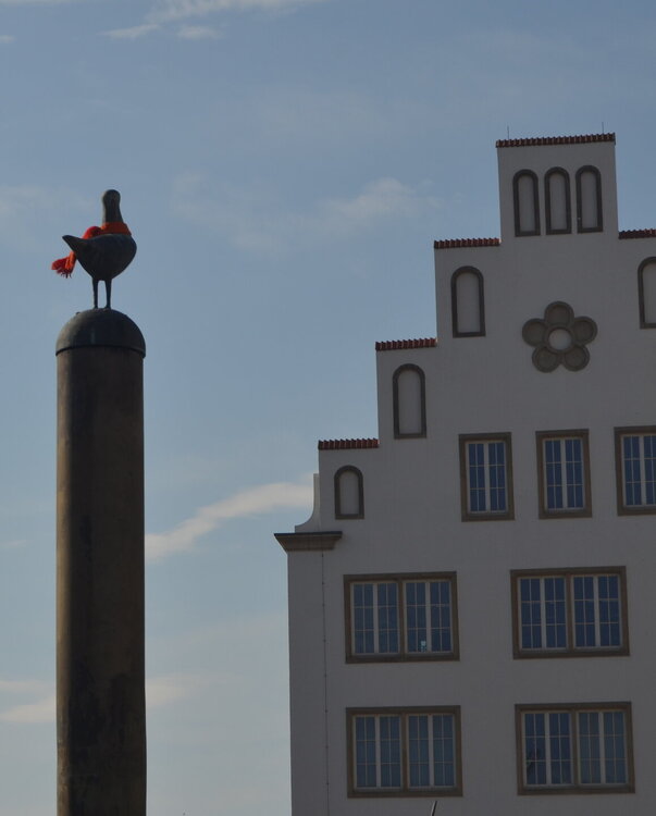 DSC_0536.JPG