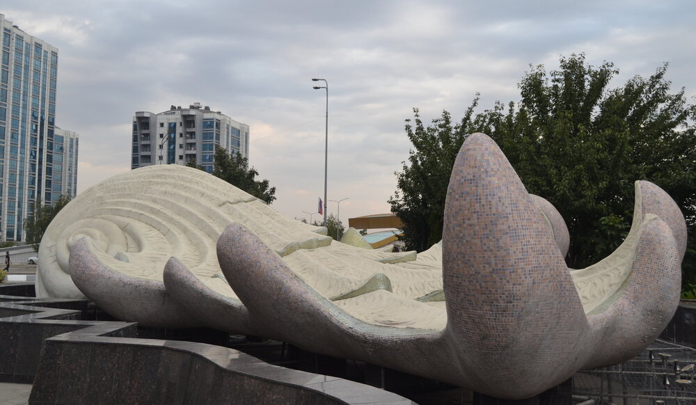 DSC_0539.JPG
