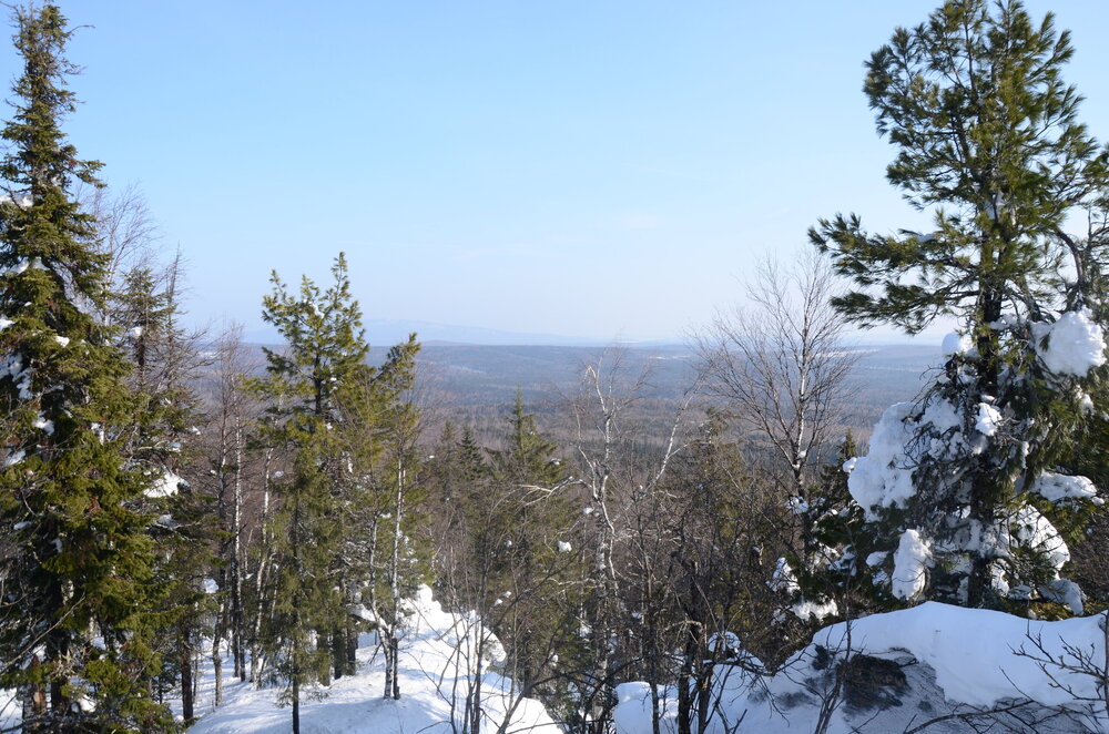 DSC_0595.JPG