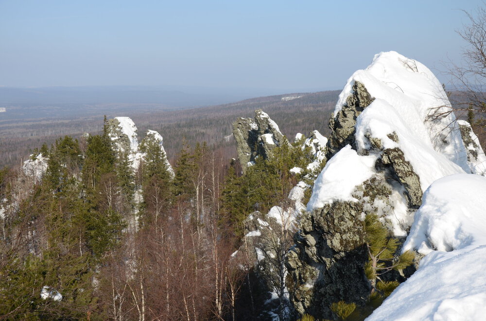 DSC_0601.JPG