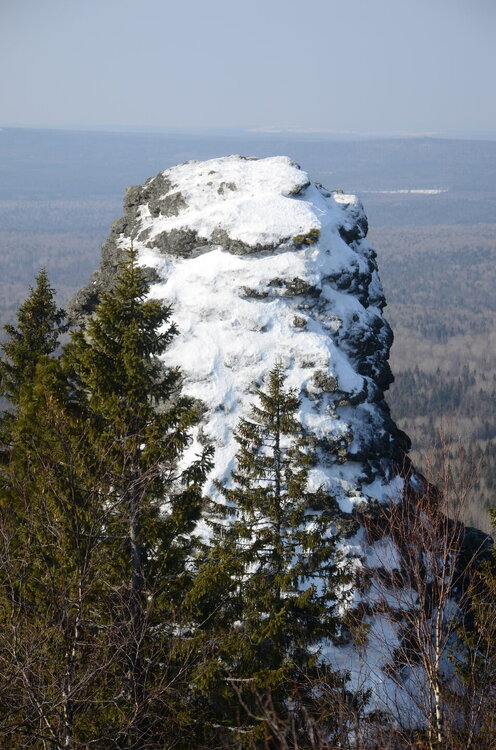 DSC_0602.JPG