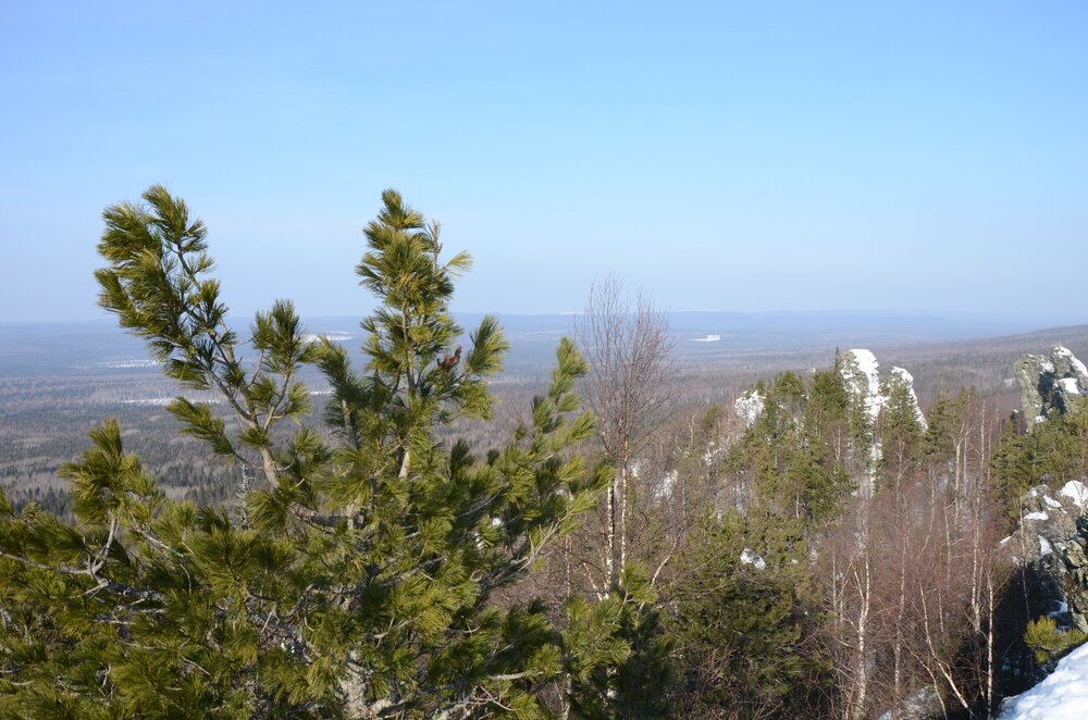 DSC_0604.JPG