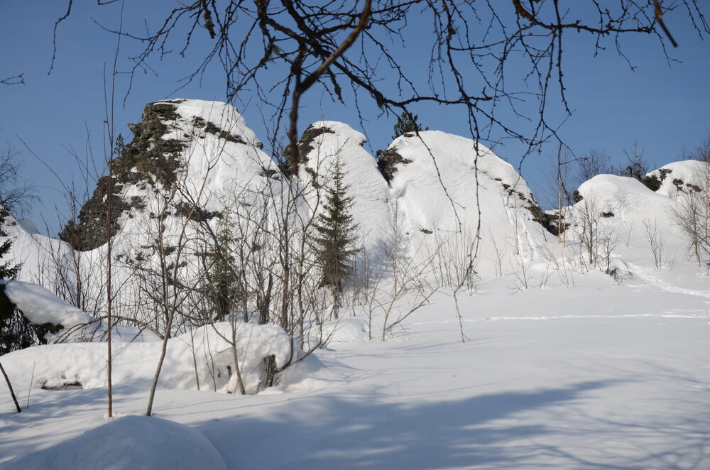 DSC_0608.JPG