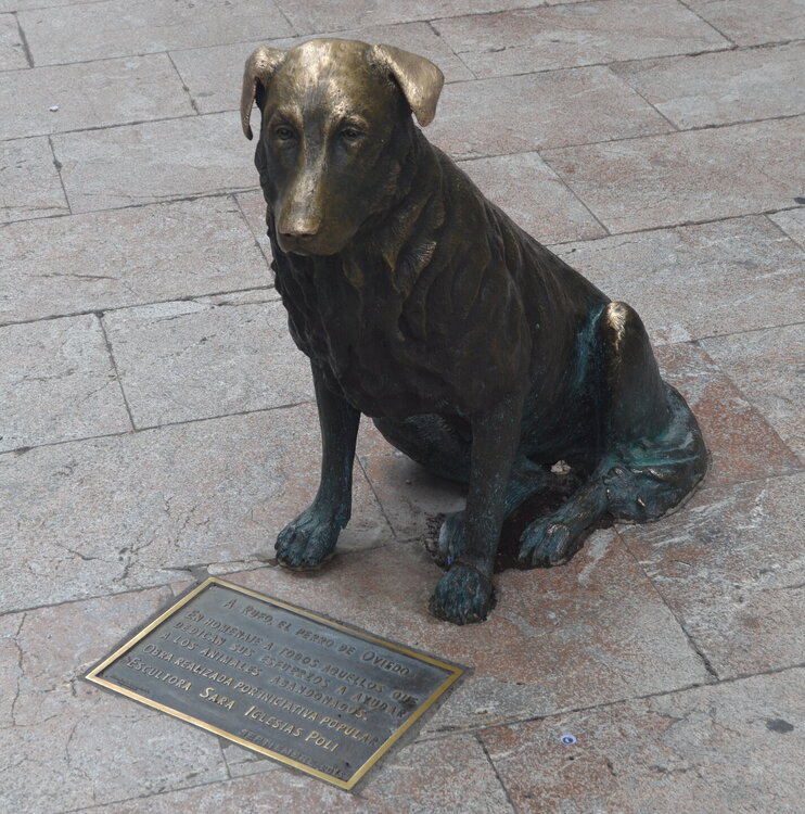 DSC_0723.JPG