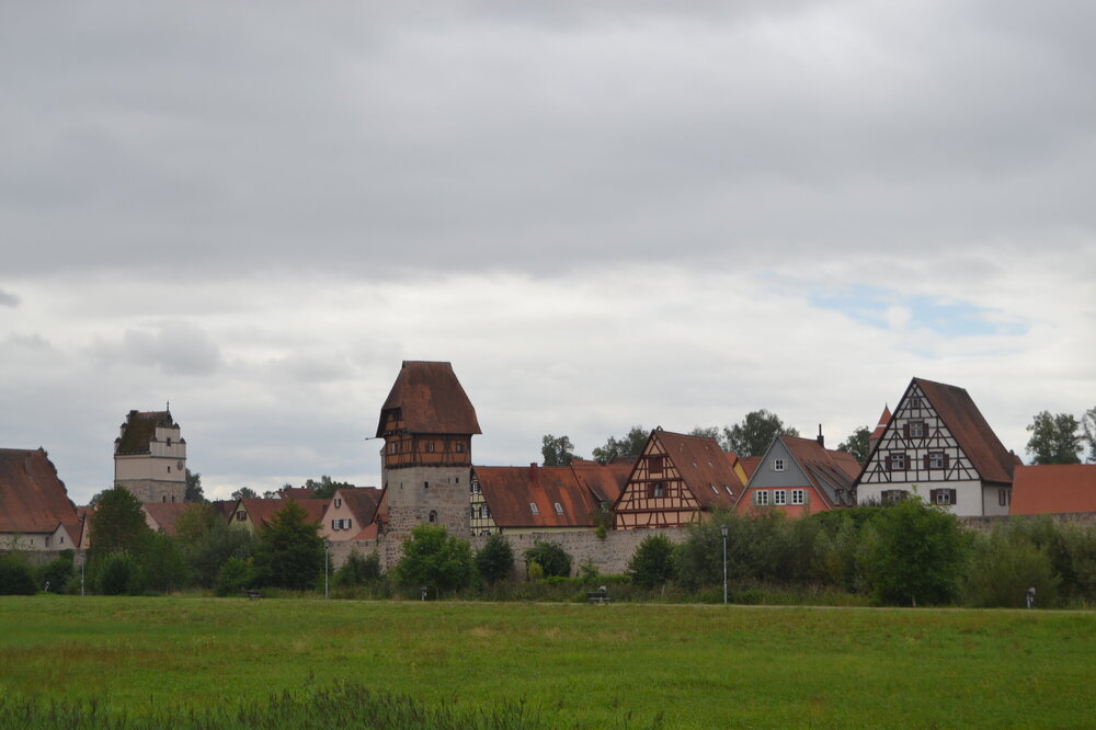 DSC_0803.JPG