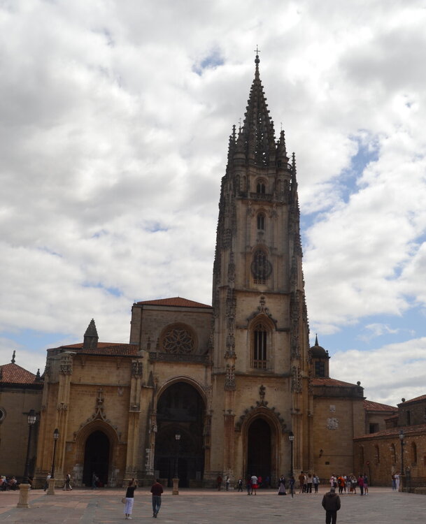 DSC_0805.JPG