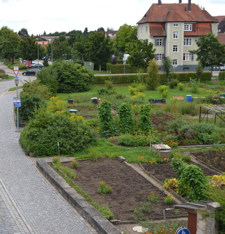 DSC_0907.JPG