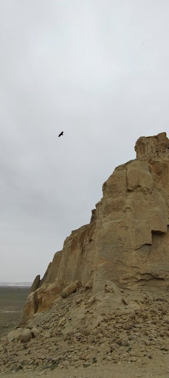 IMG20260409174238.jpg