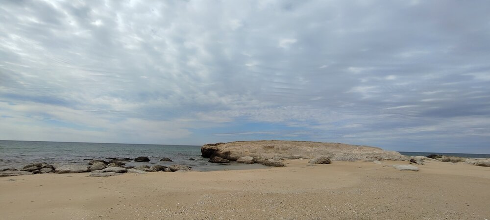 IMG20260410113754.jpg