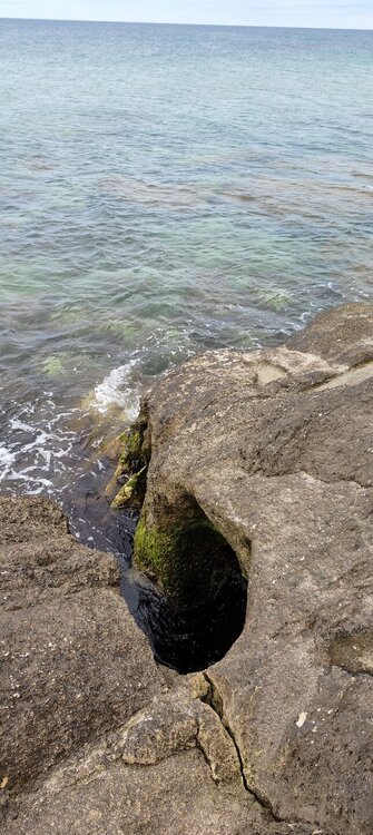 IMG20260410114226.jpg