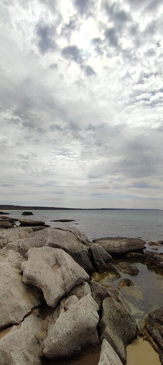 IMG20260410120106.jpg