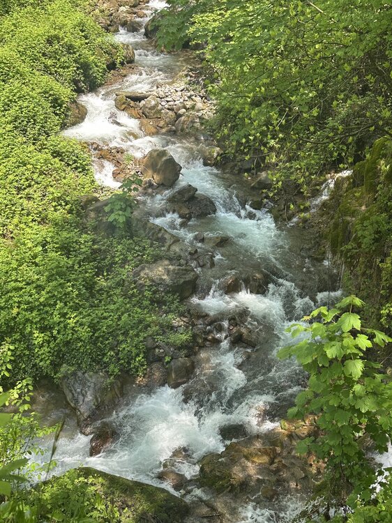 IMG_0058.jpeg