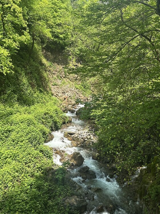 IMG_0060.jpeg
