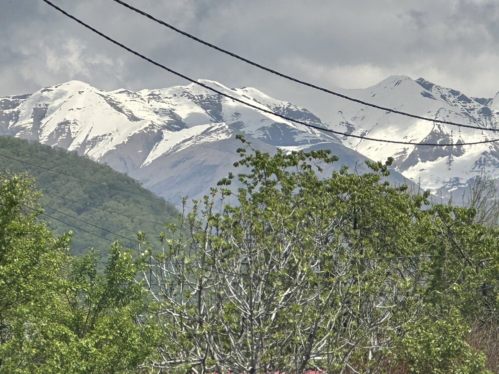 IMG_0102.jpeg