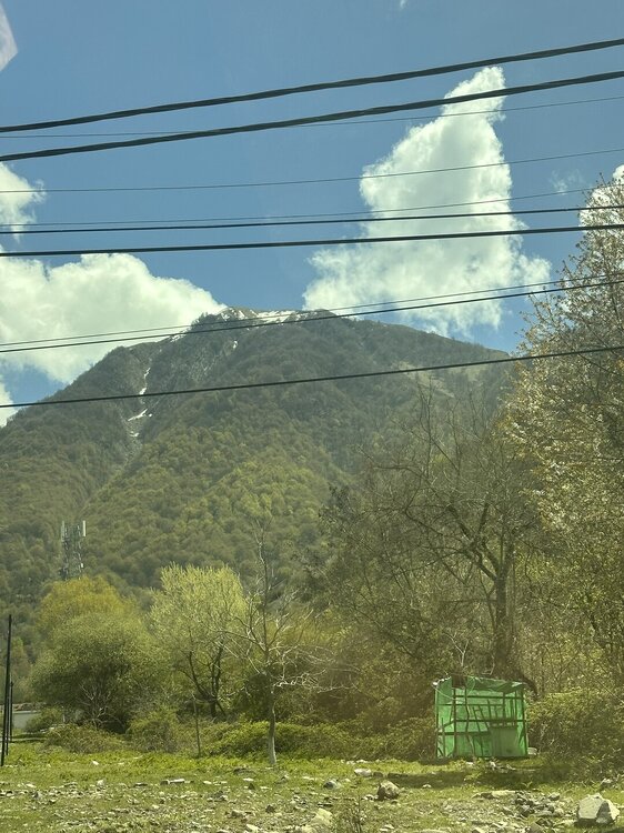 IMG_0108.jpeg