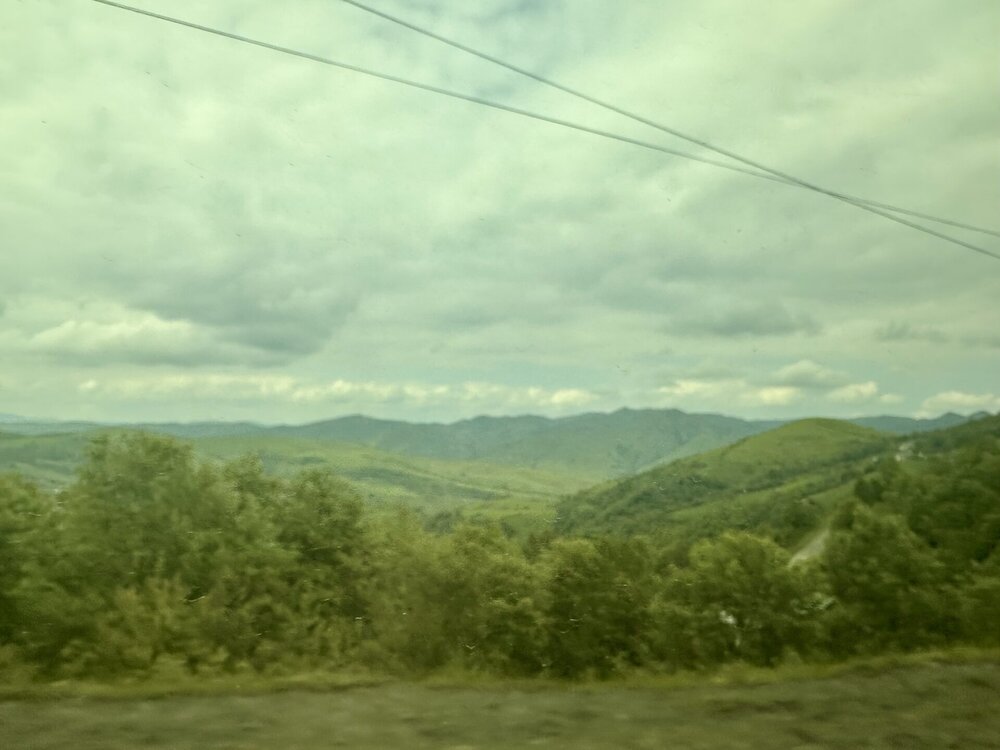 IMG_0474.jpeg
