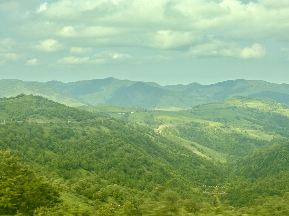 IMG_0487.jpeg