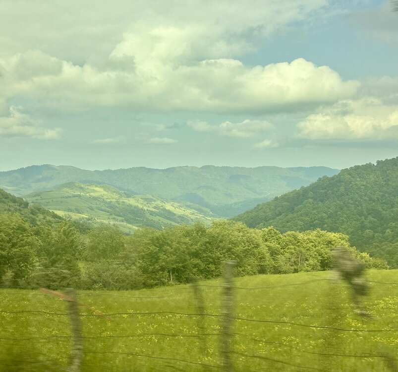 IMG_0492.jpeg