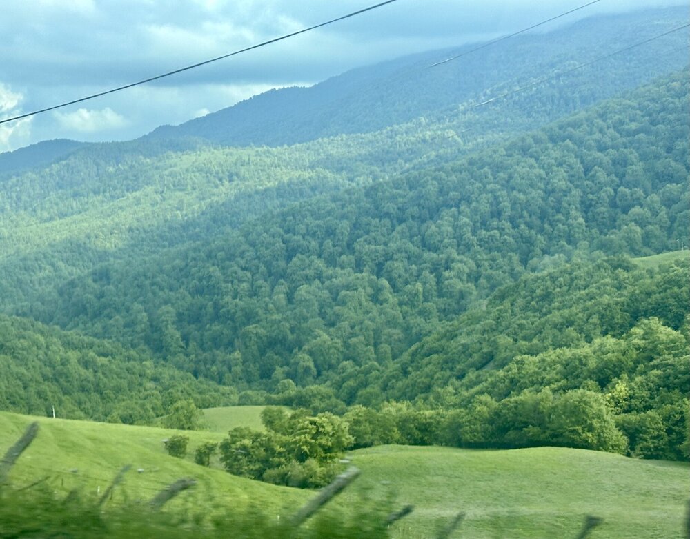 IMG_0500.jpeg