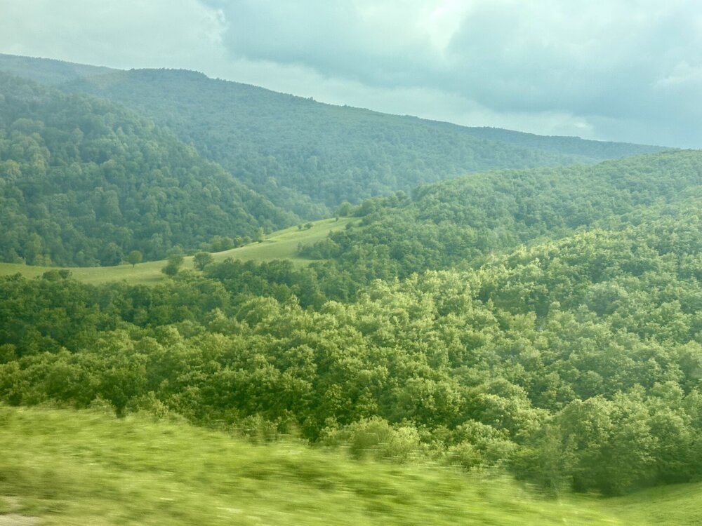 IMG_0501.jpeg