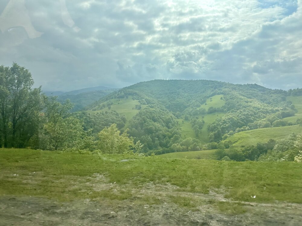 IMG_0504.jpeg