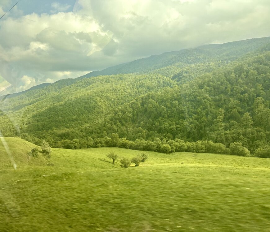 IMG_0505.jpeg