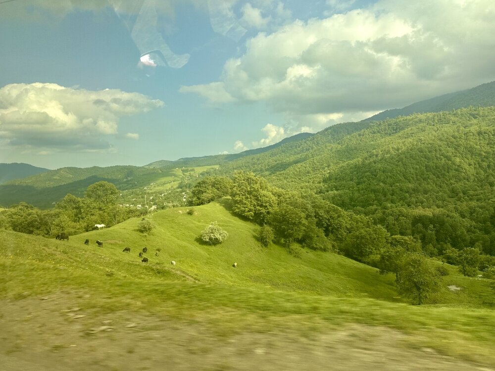 IMG_0508.jpeg