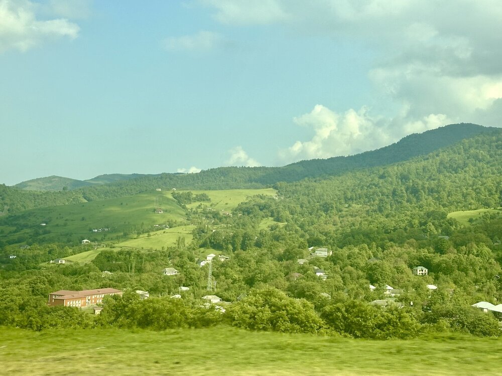 IMG_0509.jpeg