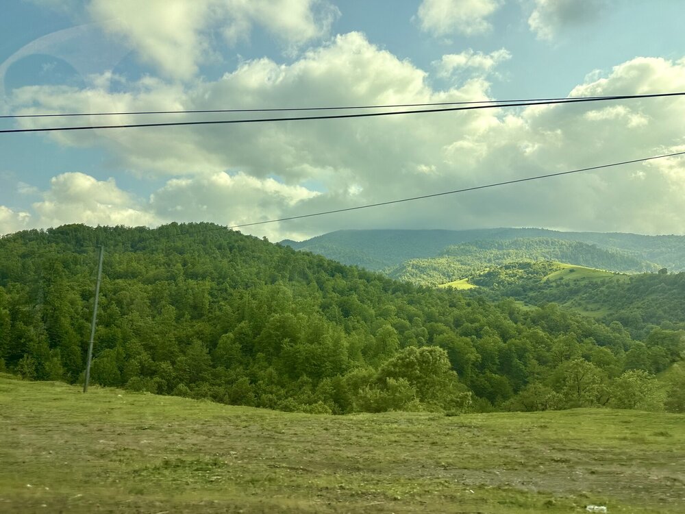 IMG_0512.jpeg