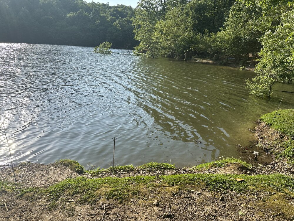IMG_0530.jpeg