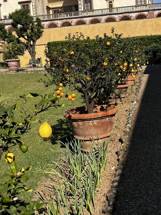 IMG_0987.JPEG