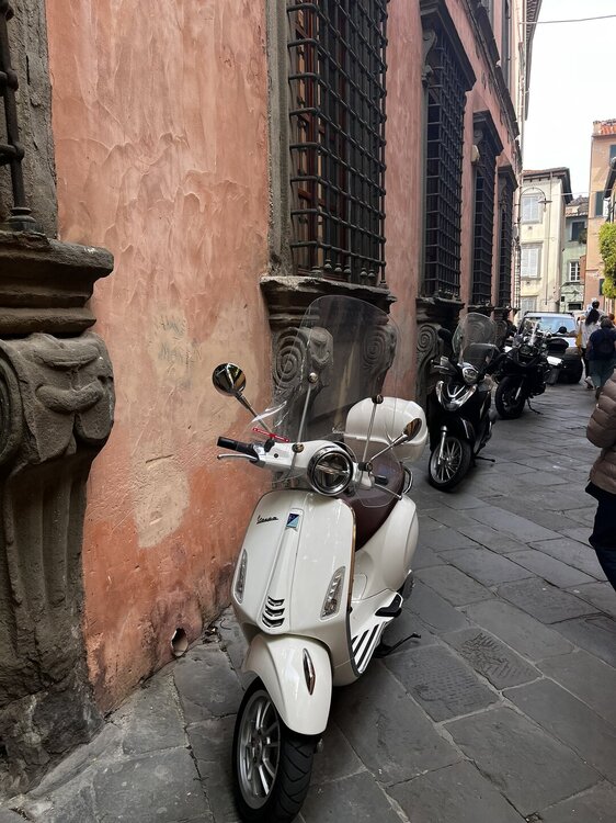 IMG_1394.JPEG