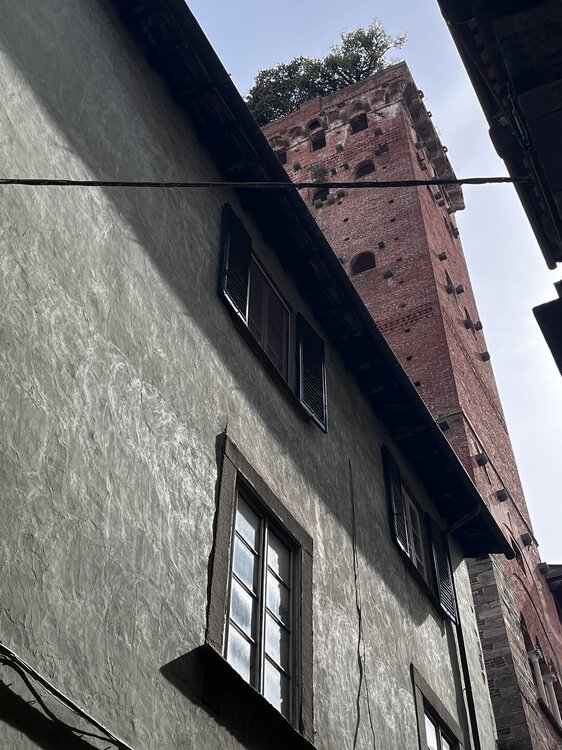 IMG_1399.JPEG