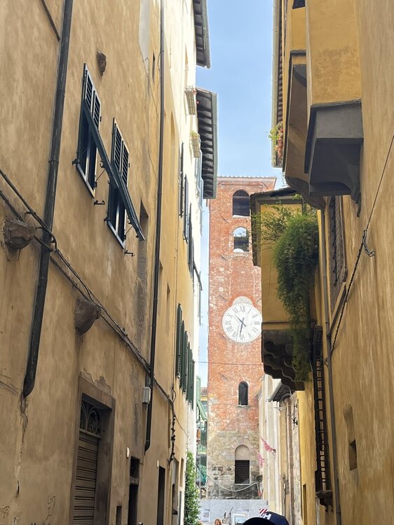 IMG_1405.JPEG