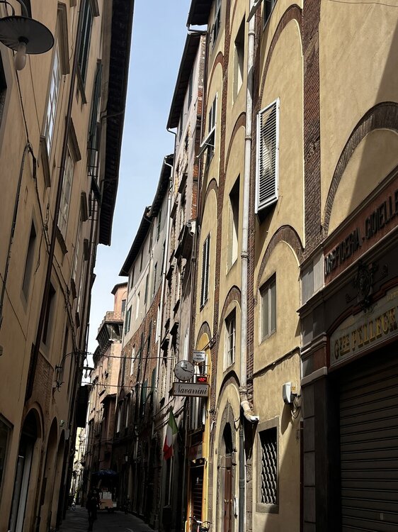 IMG_1419.JPEG