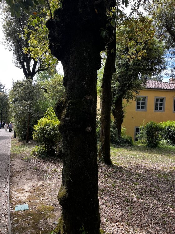 IMG_1576.JPEG
