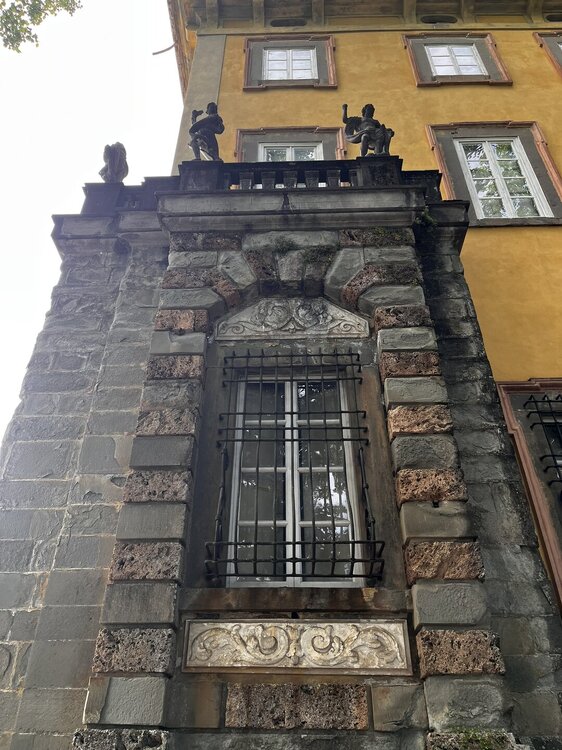 IMG_1637.JPEG