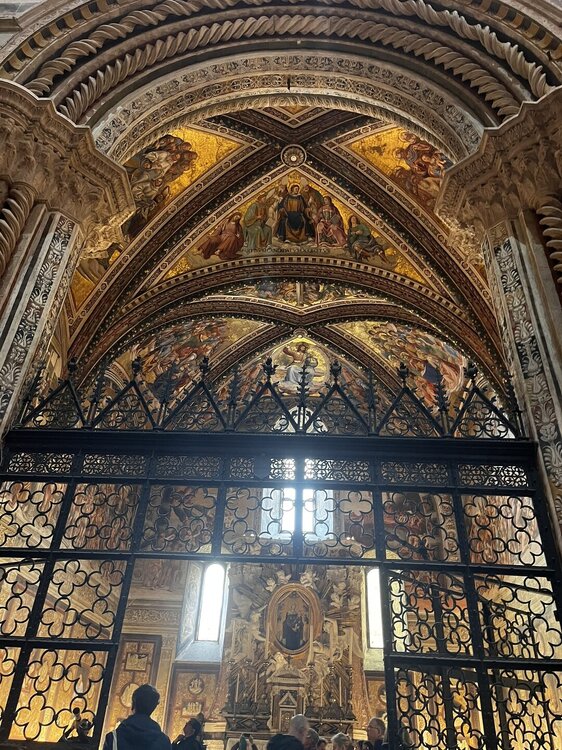 IMG_1849.JPEG