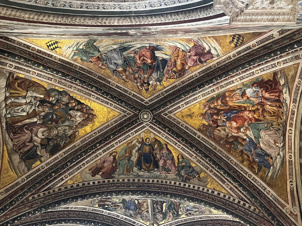 IMG_1854.JPEG