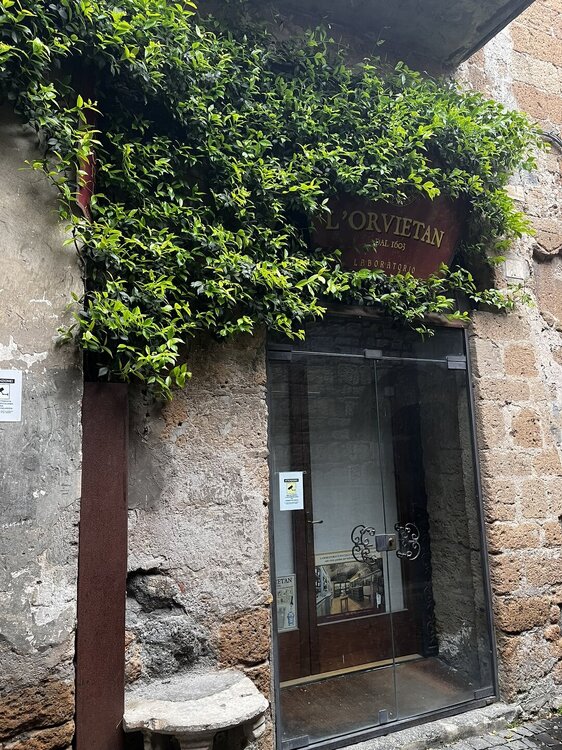IMG_1906.JPEG