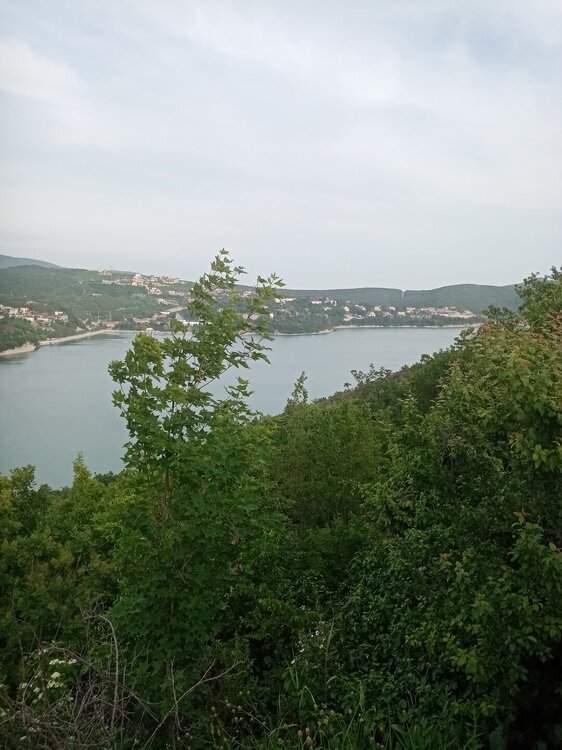 IMG_20230528_175712.jpg