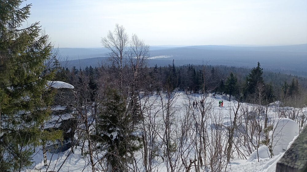IMG_20260315_112736.jpg