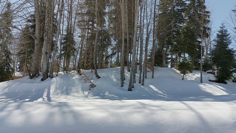 IMG_20260416_101158_HDR.jpg