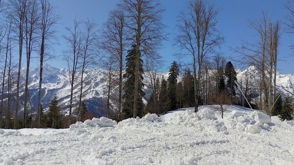 IMG_20260416_101609_HDR.jpg