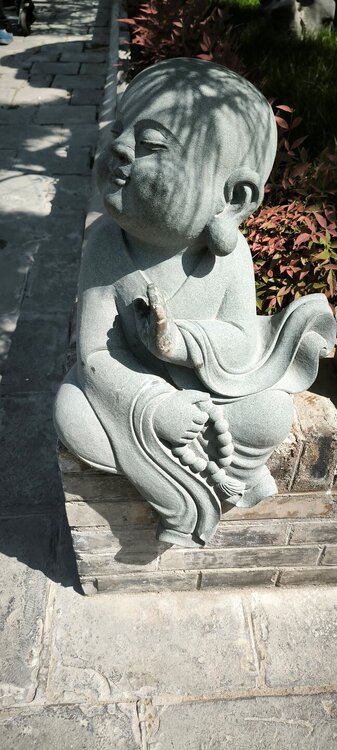 IMG_20260418_103650.jpg