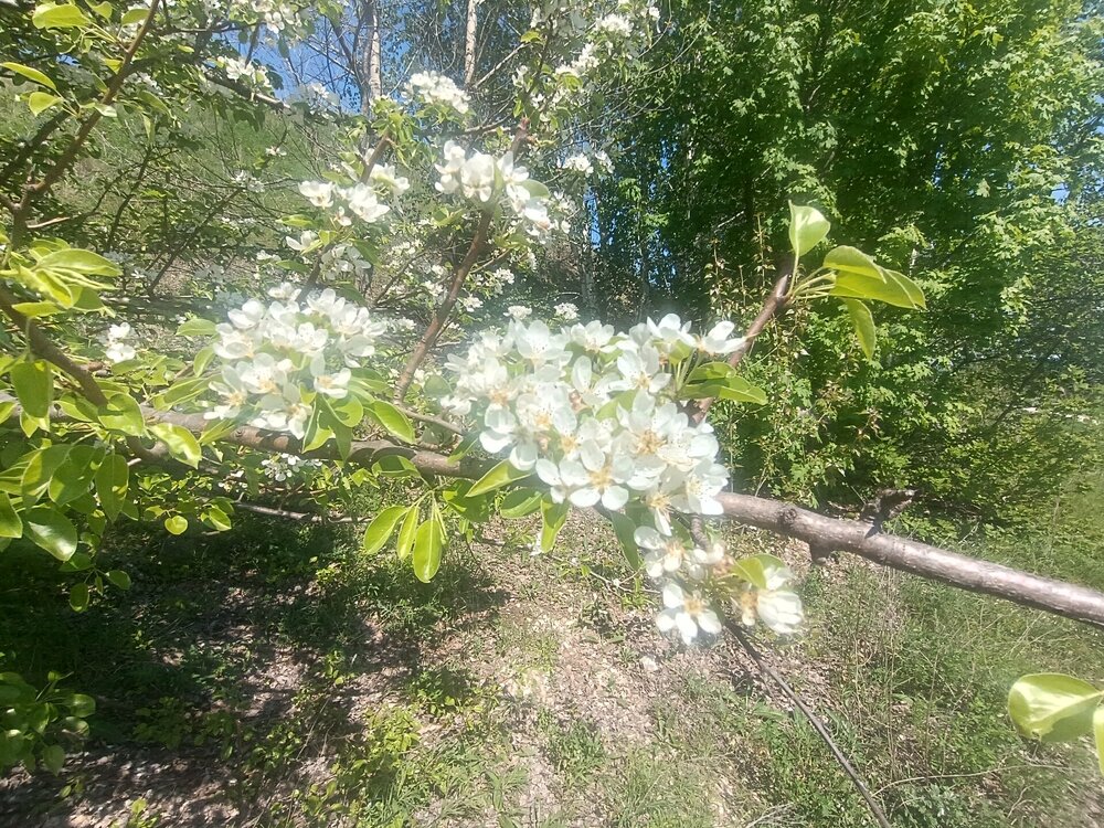 IMG_20260508_114928.jpg