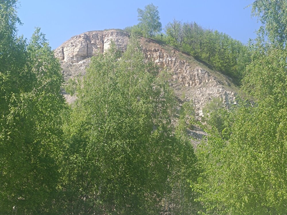IMG_20260508_120339.jpg