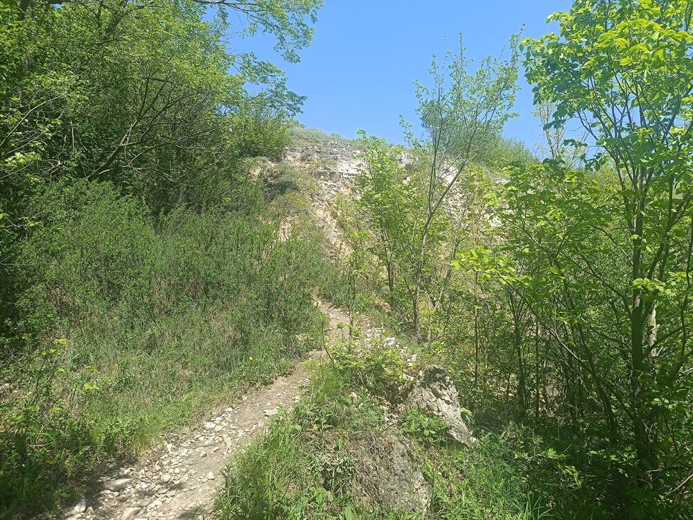 IMG_20260508_121746.jpg